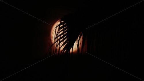 Video - A palm leaf gently moves in front of a glowing moon, creating a serene tropical silhouette
