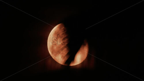 Video - A palm leaf gently moves in front of a glowing moon, creating a serene tropical silhouette