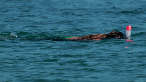 Video - A woman with dreadlocks and a snorkel mask swims gently on the surface of the water