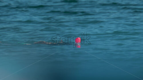 Video - A woman with dreadlocks and a snorkel mask swims gently on the surface of the water
