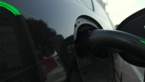 Video - Close up of a transparent jellyfish floating in shallow clear water with sunlight reflections