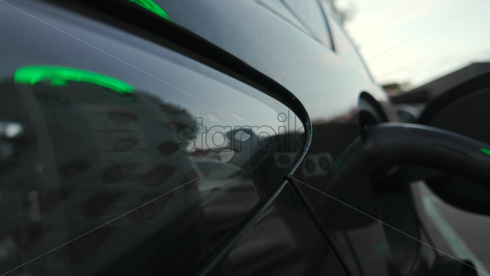 Video - Close up of a transparent jellyfish floating in shallow clear water with sunlight reflections