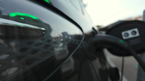 Video - Close up of a transparent jellyfish floating in shallow clear water with sunlight reflections