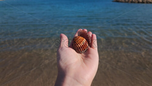 Video - Close up of a hand holding a seashell against a clear blue sea background