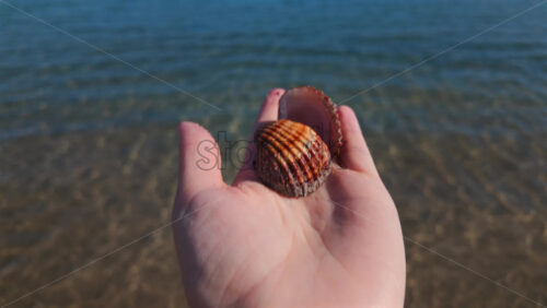 Video - Close up of a hand holding a seashell against a clear blue sea background