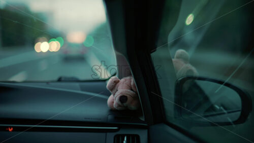 Video - A small stuffed toy rests on a car dashboard as blurred city lights pass by through the windshield