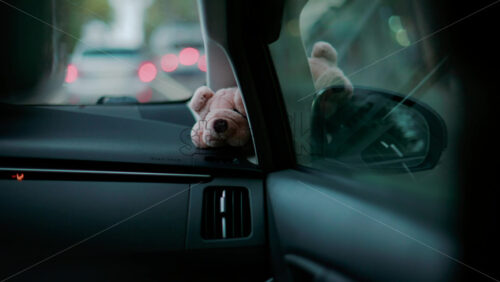Video - A small stuffed toy rests on a car dashboard as blurred city lights pass by through the windshield