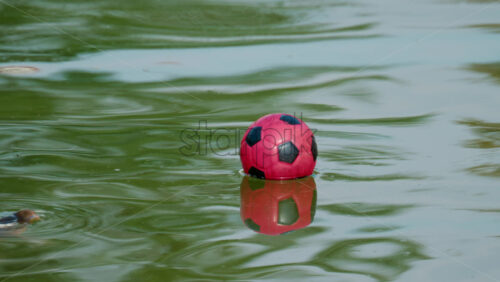 Video - A small red soccer ball floats on a polluted pond with murky green water