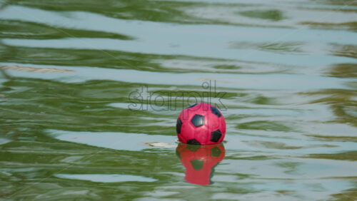 Video - A small red soccer ball floats on a polluted pond with murky green water