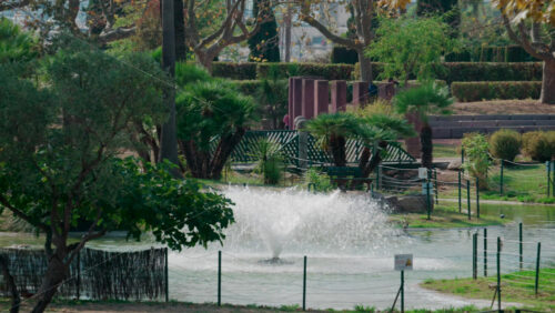 Video - A water fountain surrounded by palm trees and greenery in a park in Cannes, France