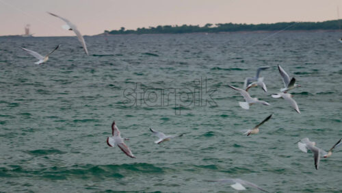 Video - A glowing red sun partially covered by dark clouds at dusk