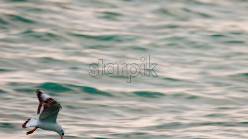 Video - A glowing red sun partially covered by dark clouds at dusk