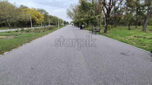 Video - Wide view of an empty park path lined with benches and green trees on an overcast autumn day