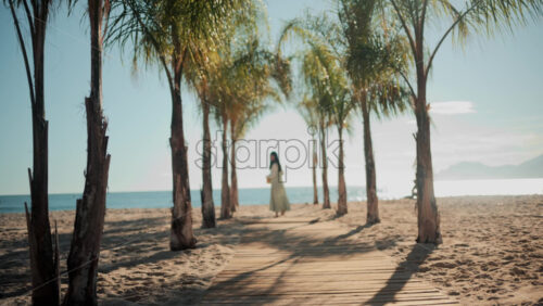 Video - A woman in a light summer dress walks barefoot along a palm lined path toward the sea