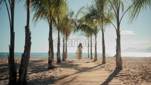 Video - Wooden walkway surrounded by palm trees leading to a sunny beach with clear blue water