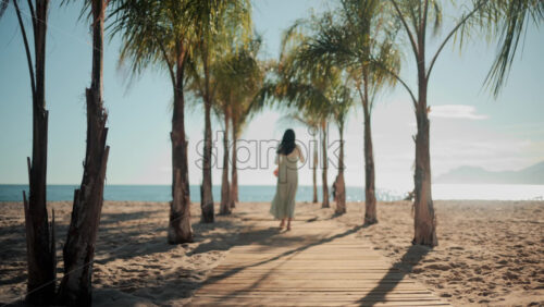 Video - Wooden walkway surrounded by palm trees leading to a sunny beach with clear blue water