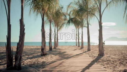 Video - Wooden walkway surrounded by palm trees leading to a sunny beach with clear blue water