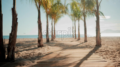 Video - Wooden walkway surrounded by palm trees leading to a sunny beach with clear blue water