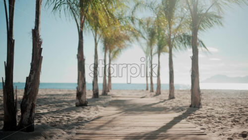 Video - Wooden walkway surrounded by palm trees leading to a sunny beach with clear blue water