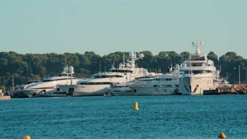 Video - Dozens of luxury yachts anchored in thePort Pierre Canto in Cannes, with scenic coastal architecture and calm blue sea