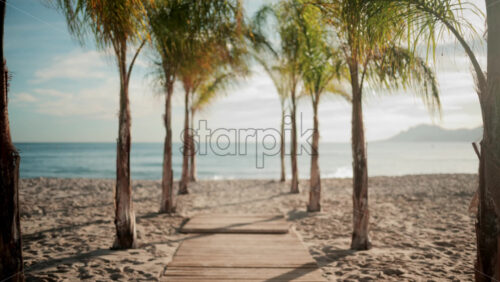 Video - Wooden walkway surrounded by palm trees leading to a sunny beach with clear blue water