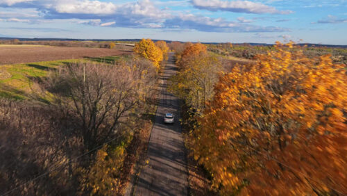 Video – Aerial drone view of a car driving along a straight country road framed by vibrant orange autumn trees in Moldova - Starpik Stock