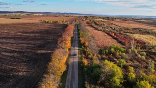 Video - Aerial drone view of a car driving along a straight country road framed by vibrant orange autumn trees in Moldova