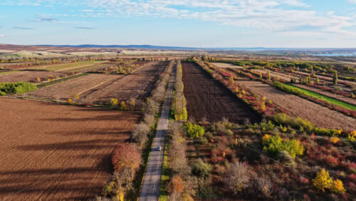 Video - Aerial drone view of a car driving along a straight country road framed by vibrant orange autumn trees in Moldova