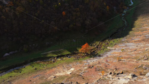 Video - Aerial drone view of a single orange autumn tree at the bottom of a Moldovan valley surrounded by steep cliffs