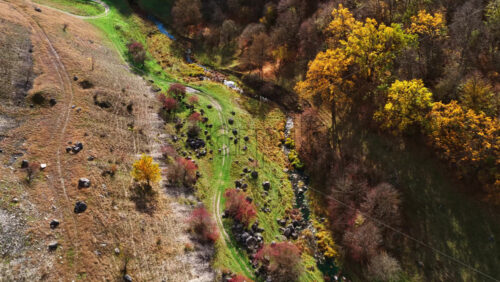 Video - Aerial drone view of a Moldovan valley with red autumn trees, rocks, and a small stream