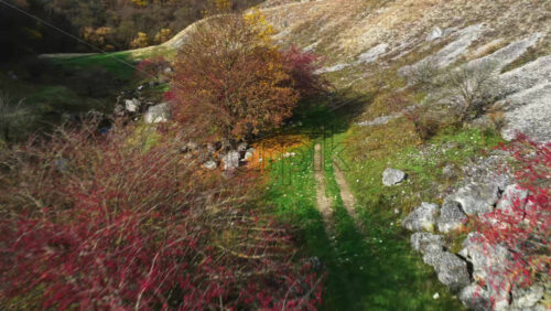 Video - Aerial drone view of a narrow Moldovan valley with red autumn bushes, rocky slopes, and a winding green path