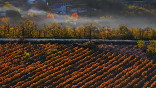 Video - Aerial drone view of smoke rising from farmlands in Moldova at golden hour