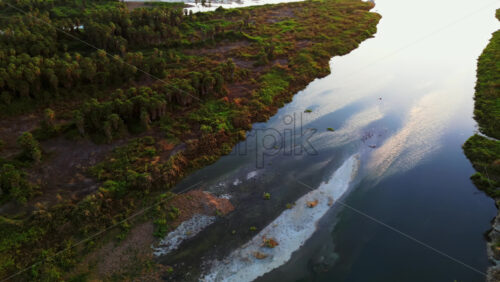 Video - Aerial drone view of a peaceful river winding through a lush palm oasis in Baja California Sur