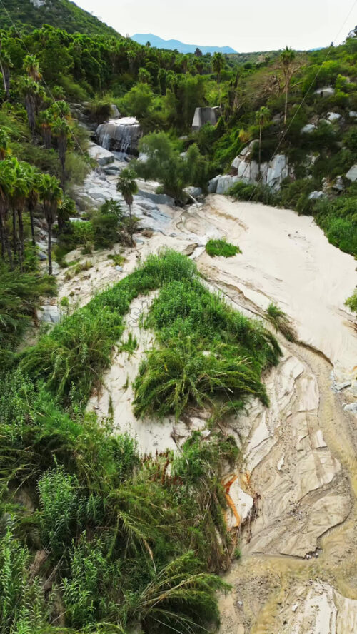 Video - Aerial drone view of a small stream surrounded by palm trees, sand, and rocky desert terrain in Sierra de la Laguna. Vertical