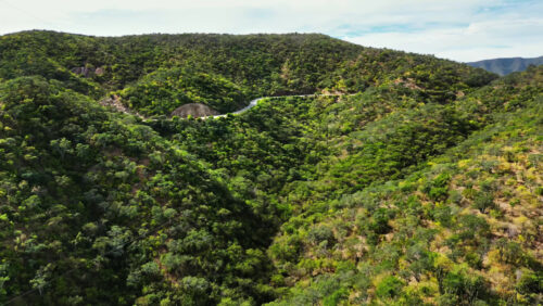 Video - Aerial drone view of a vast desert landscape filled with cacti and shrubs under a clear blue sky in Baja California, Mexico