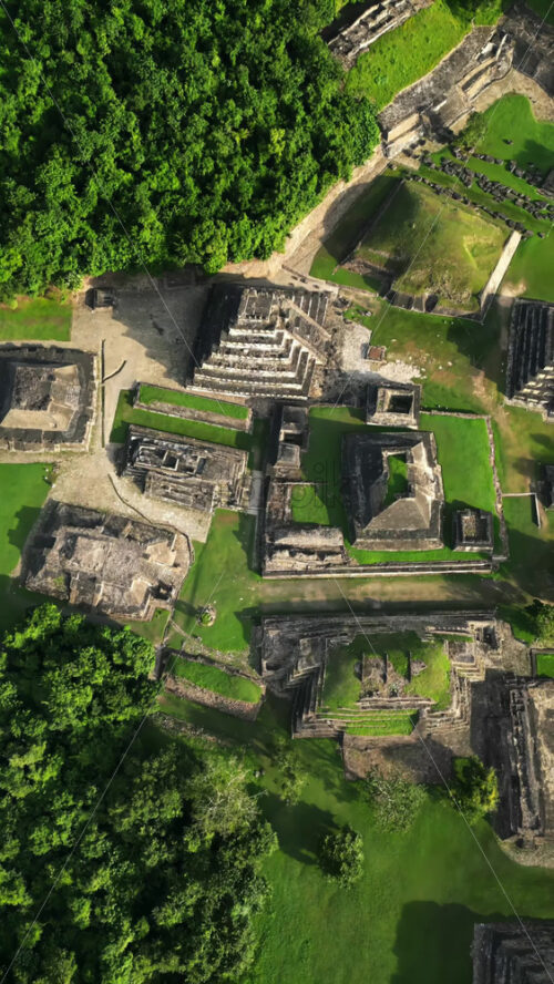 Video - Aerial drone view of ancient Mayan ruins hidden within a dense green jungle. Vertical