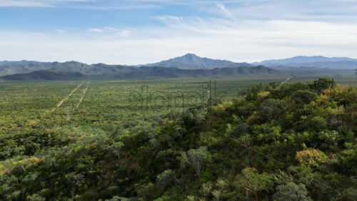 Video - Aerial drone view of an endless green valley stretching toward rugged mountains under a bright blue sky in the Mexican wilderness in slow motion