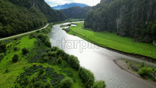 Video - Aerial drone view of a calm river winding through a lush Patagonian valley filled with purple lupine flowers and green vegetation