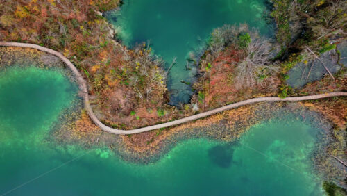 Video - Aerial drone view of the winding wooden walkways built above turquoise shallows and wetlands at Plitvice Lakes, Croatia