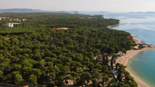 Video - Aerial drone view of a large coastal pine forest. Biograd na Moru, Croatia