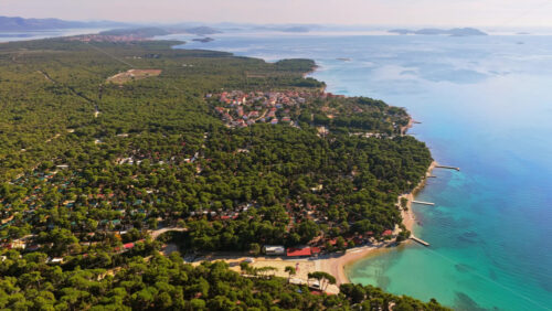 Video - Aerial drone view of the vast pine forest stretching along the coast near Biograd na Moru, Croatia