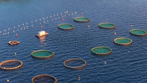 Video - Aerial drone view of offshore aquaculture cages near Tribunj, Croatia, arranged in geometric circular patterns in the deep blue Adriatic Sea.
