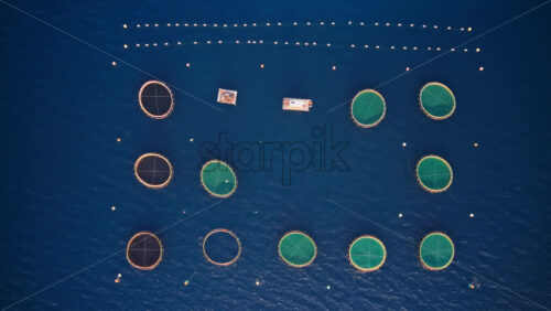 Video - Aerial drone view of offshore aquaculture cages arranged in geometric circular patterns in the deep blue Adriatic Sea