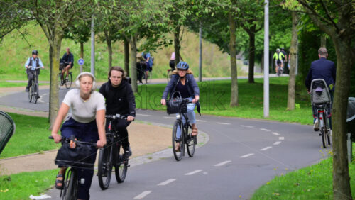 Video - Copenhagen, Denmark - August 5, 2025: Many cyclists riding bicycles on a paved bike path surrounded by trees and grass in a park