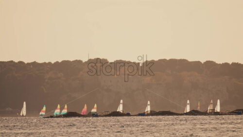 Video - Wide shot of small sailboats with colorful sails moving across calm sea water near a wooded coastline