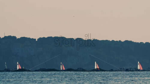Video - Distant sailboats navigating calm water with a forested coastline in the background