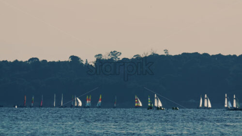 Video - Distant sailboats navigating calm water with a forested coastline in the background