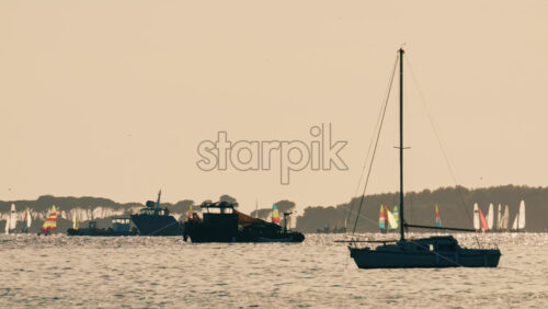 Video - Wide view of sailboats and working boats floating on calm sea water under warm light