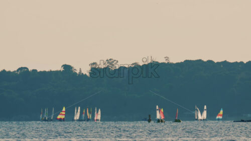 Video - Distant sailboats navigating calm water with a forested coastline in the background