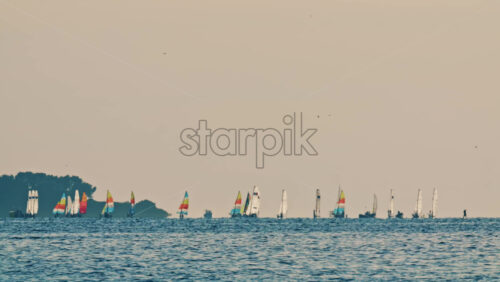 Video - Distant sailboats navigating calm water with a forested coastline in the background